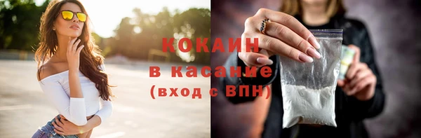 МДПВ Михайлов