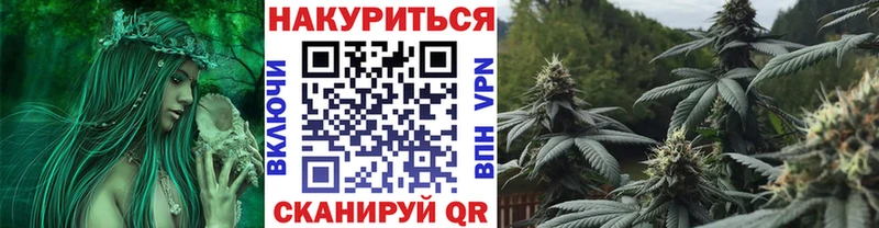 Купить закладки  Курск  Бошки марихуана THC 21% 